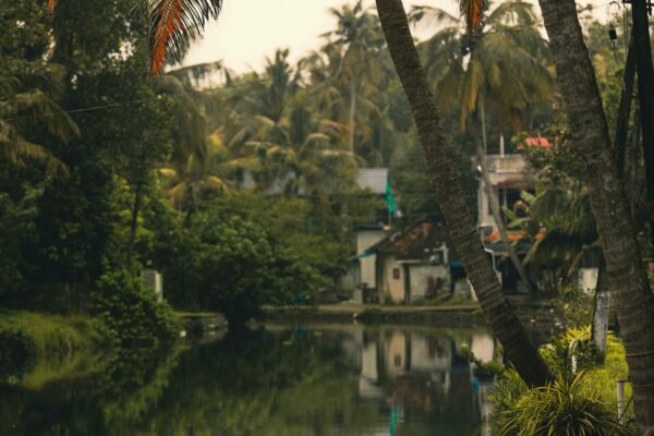 Kerala God’s Own Country Tour – 6 Nights / 7 Days