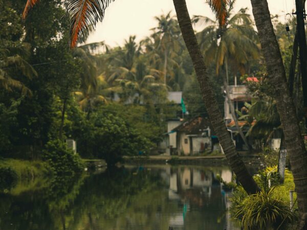 Kerala God’s Own Country Tour – 6 Nights / 7 Days